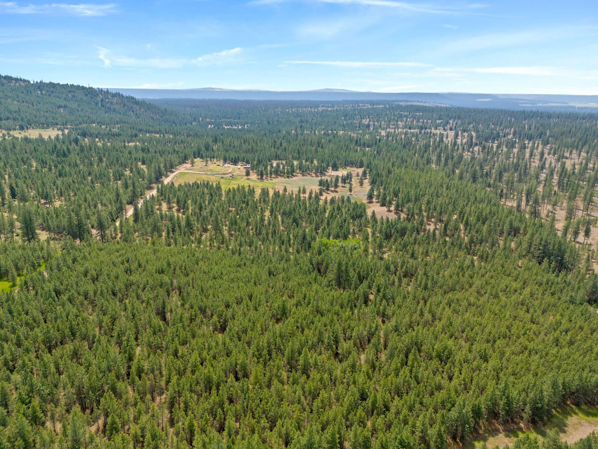 5285 Highway 231, Unit D Ford, WA 99013 - Photo 8 of 14