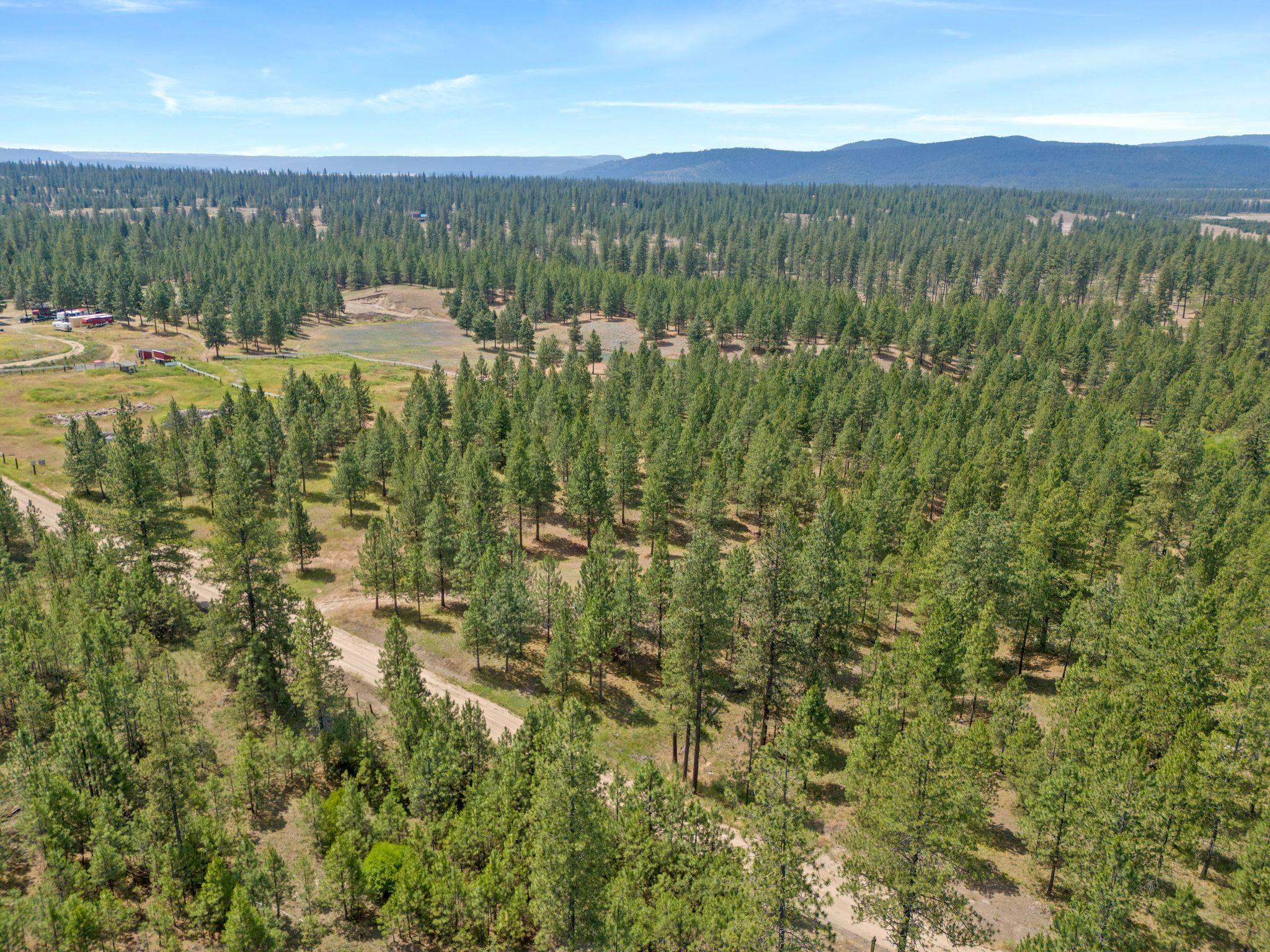 5285 Highway 231, Unit D Ford, WA 99013 - Photo 9 of 14