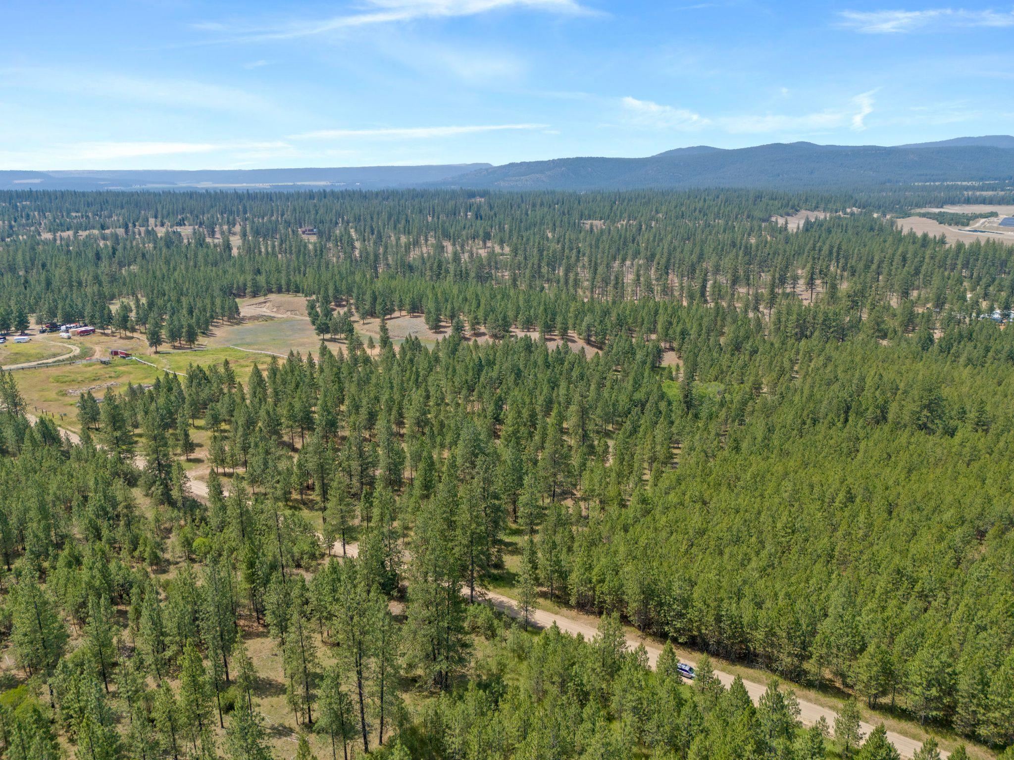 5285 Highway 231, Unit D Ford, WA 99013 - Photo 10 of 14