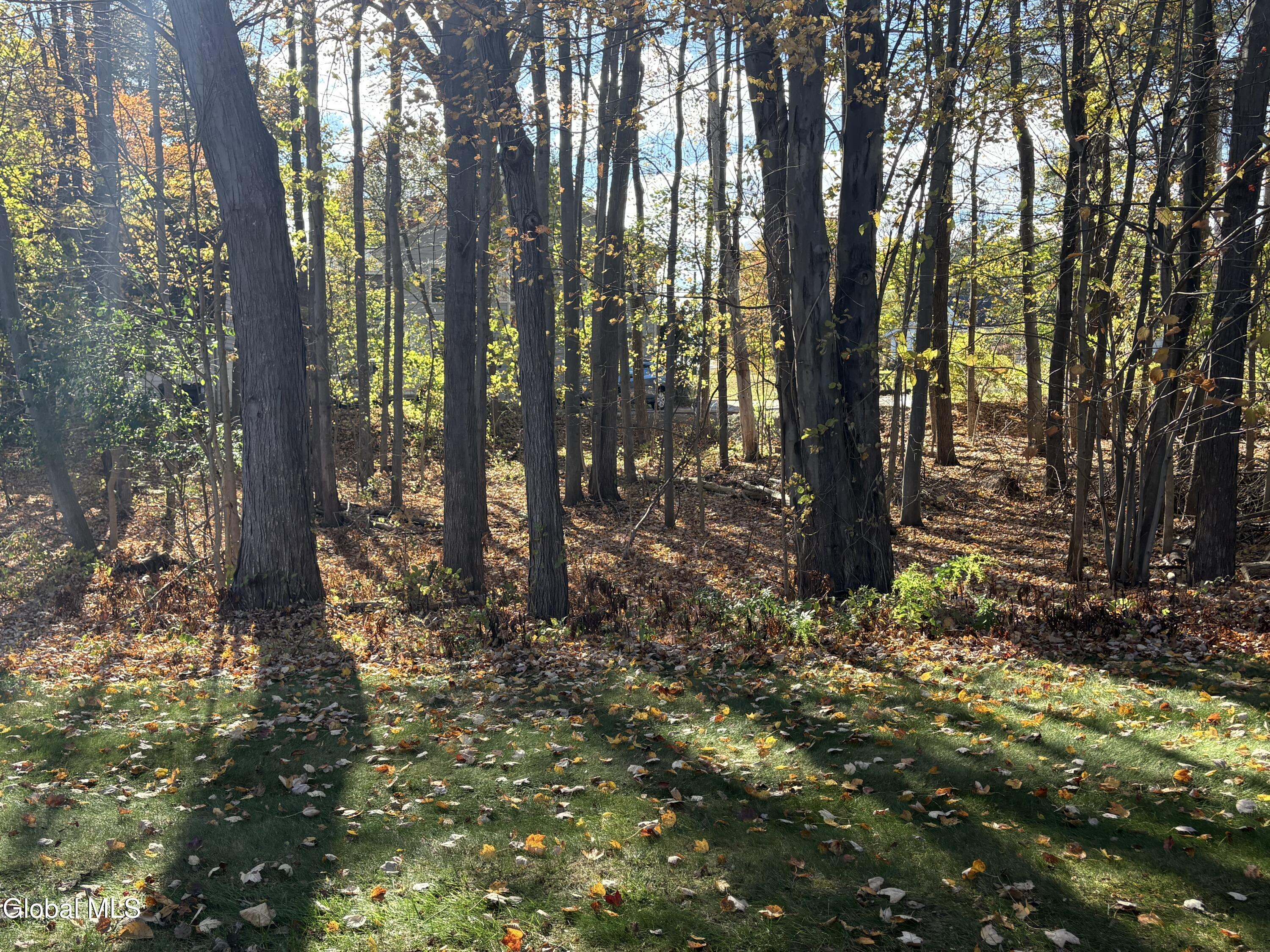 3005 Squire Boulevard Guilderland, NY 12159 - Photo 28 of 32 yard3