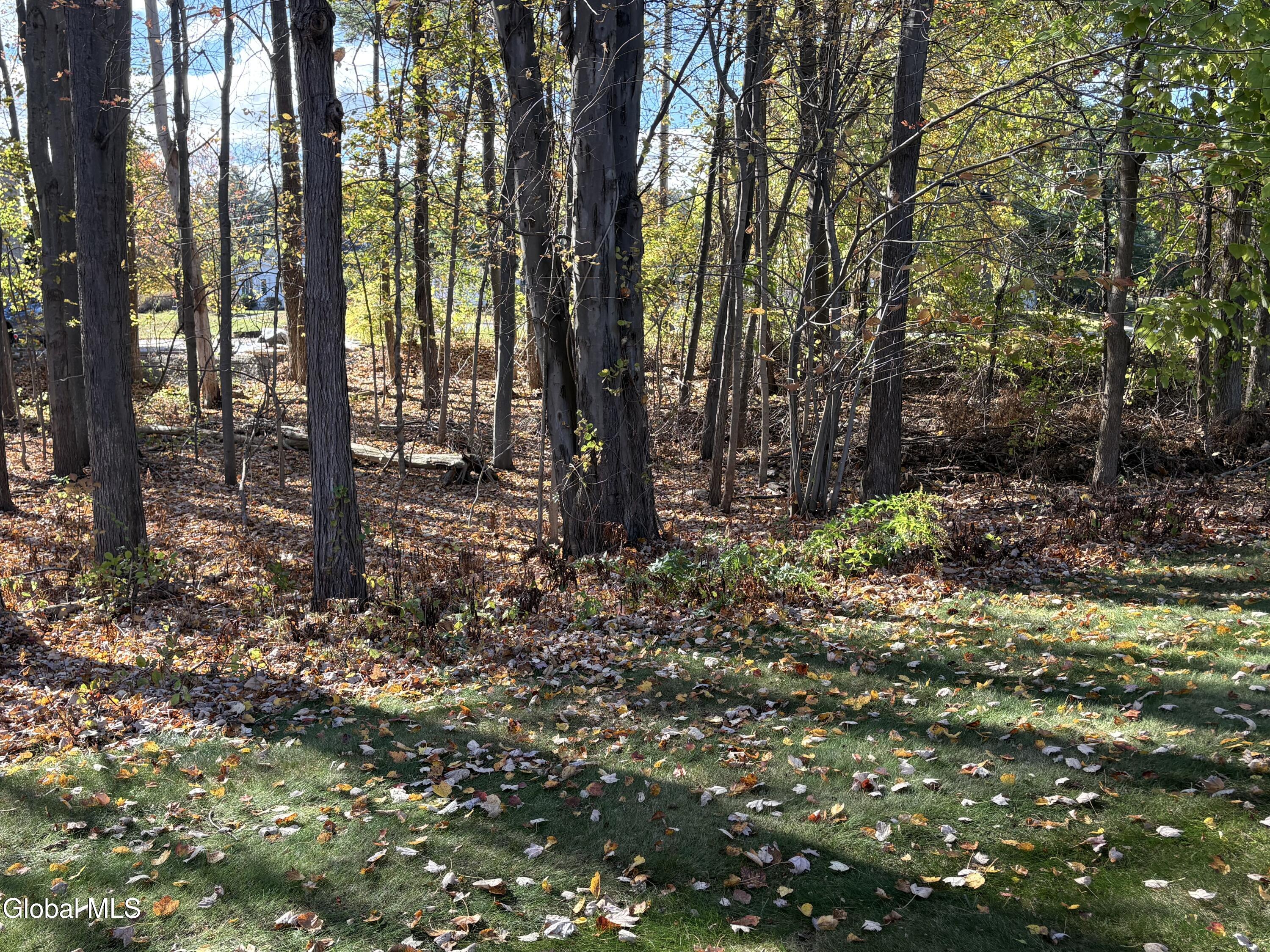 3005 Squire Boulevard Guilderland, NY 12159 - Photo 30 of 32 yard