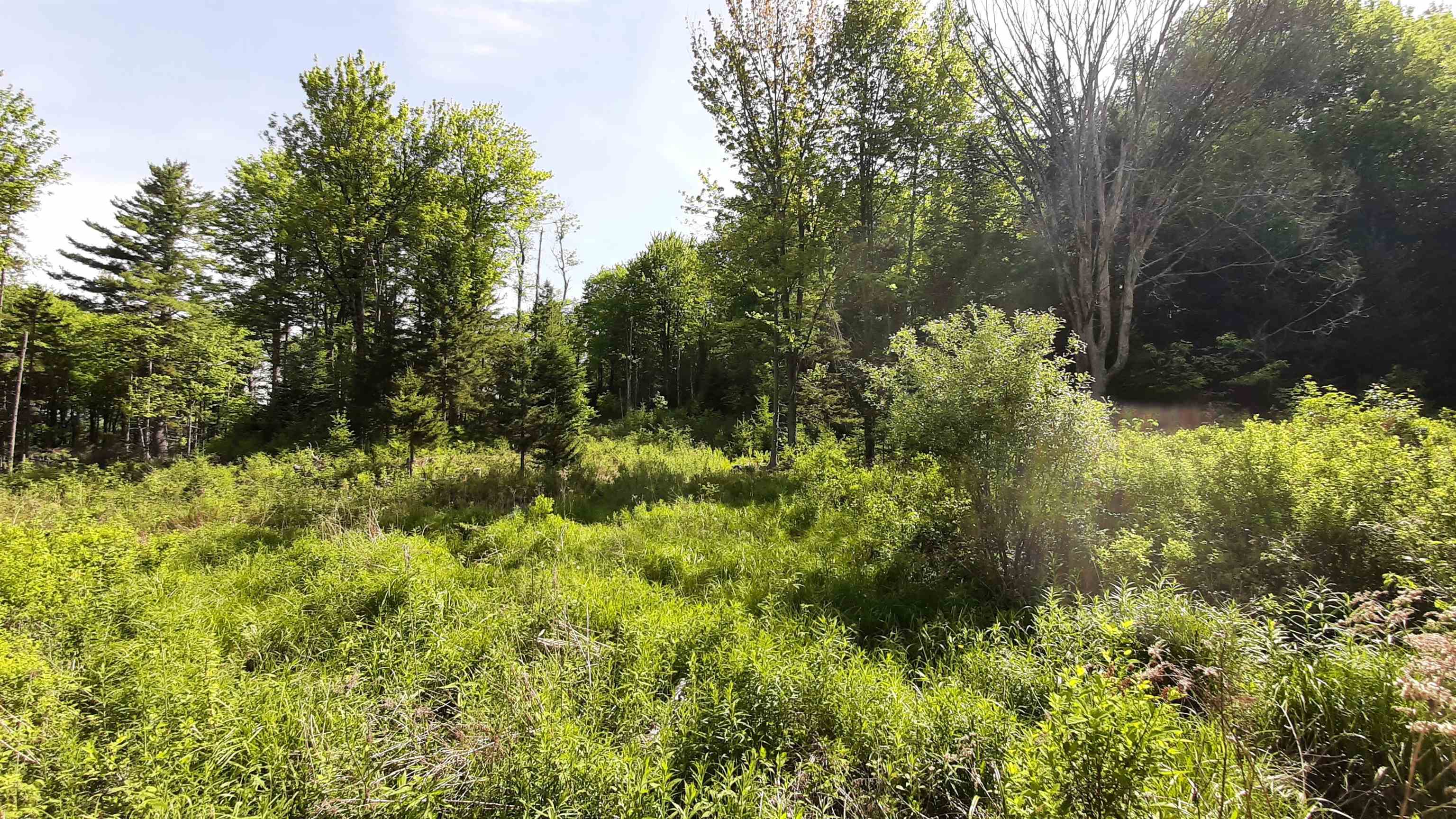 0 Summit Road Mount Holly, VT 05758 - Photo 26 of 37