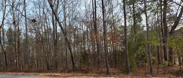 a view of a backyard of the house