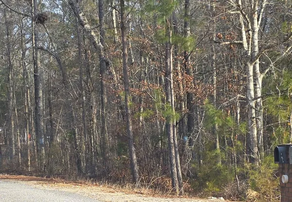a close up of a street