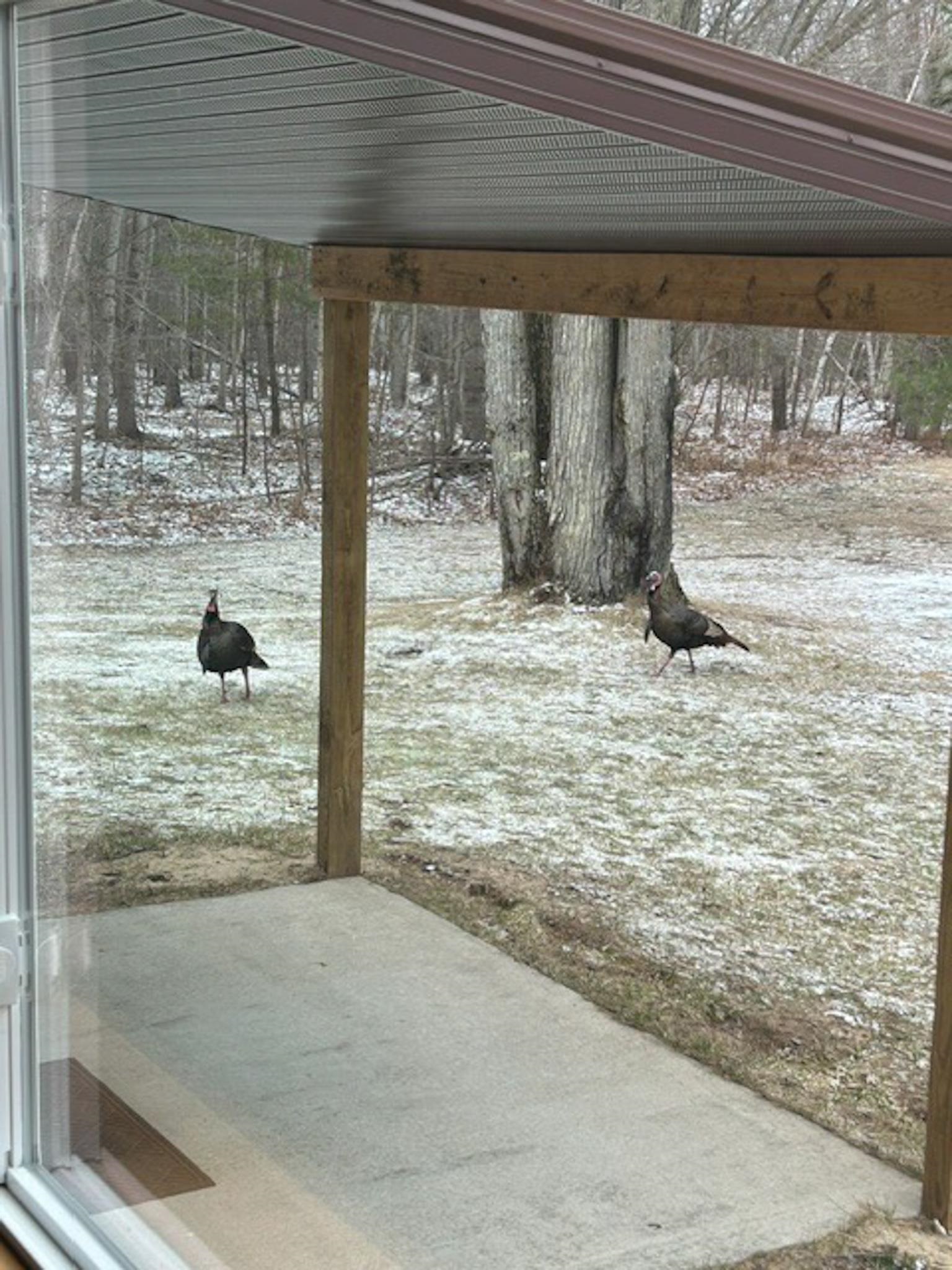 1871 West Youngs Road Gladwin, MI 48624 - Photo 74 of 77