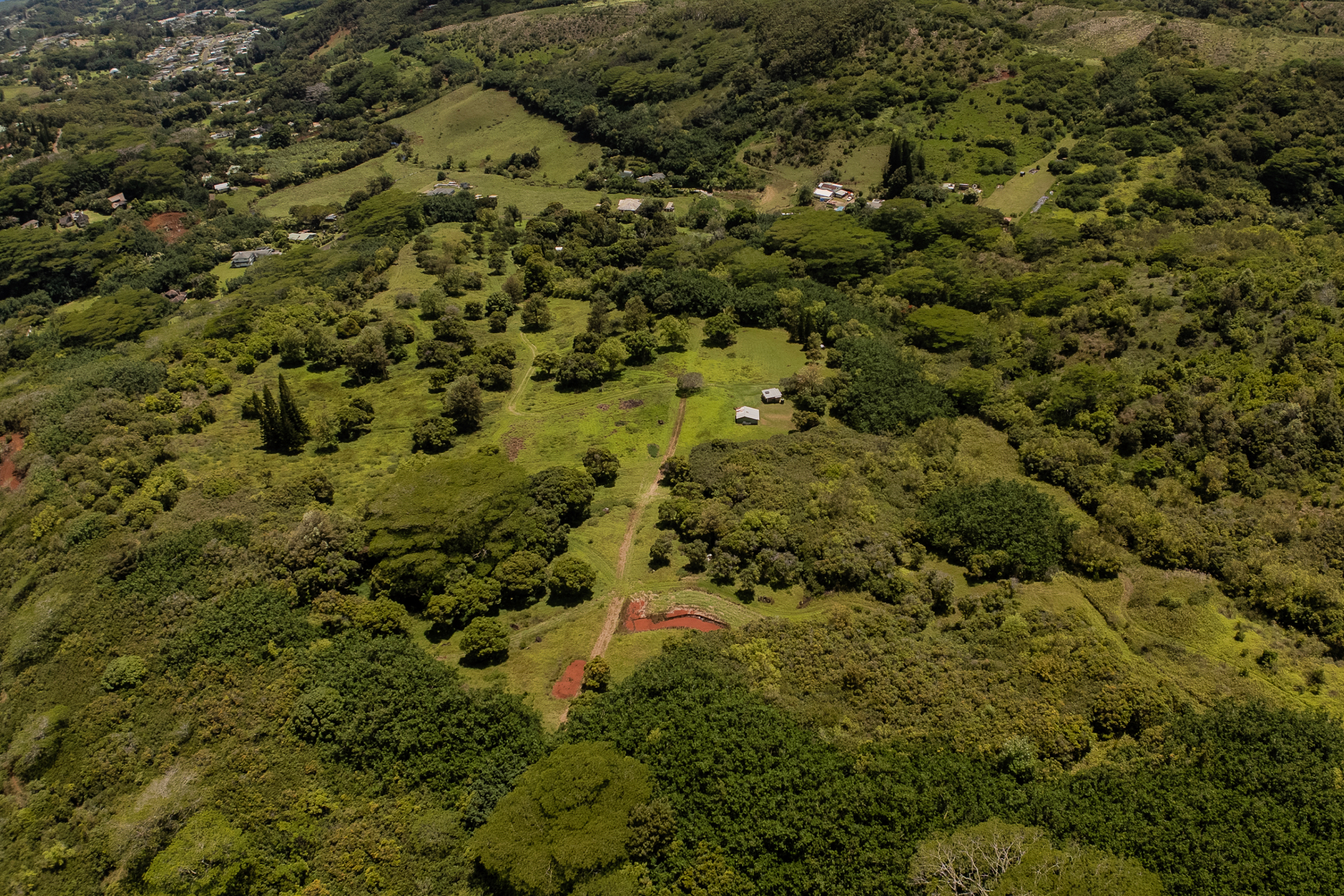 5078 Lot 44 Kua Road Kalaheo, HI 96741 - Photo 11 of 14