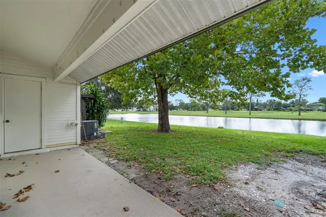 a view of backyard with large trees and plants