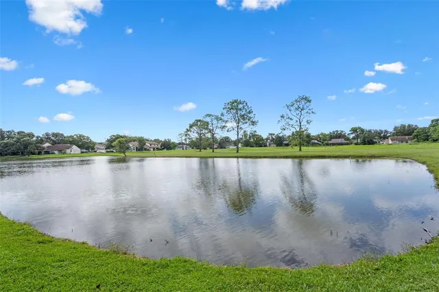 a view of a lake with a big yard
