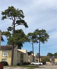 6200 West Tidwell Road, Unit 501 Houston, TX 77092 - Photo 6 of 6 a view of a tree in front of a building