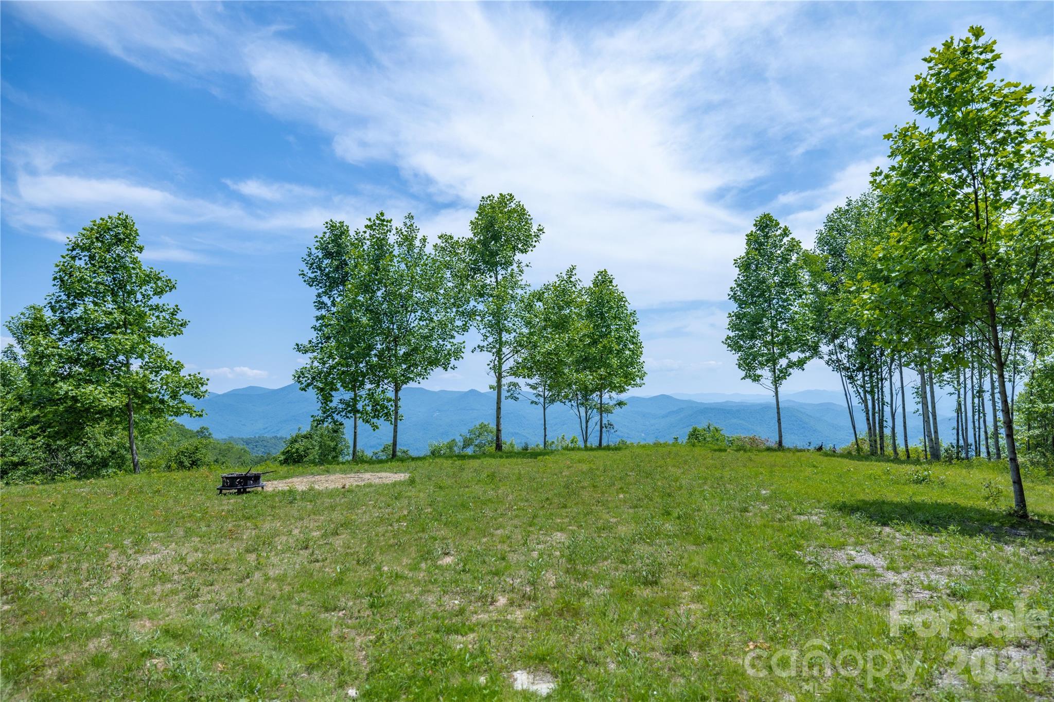3409 Parris Branch Road Sylva, NC 28779 - Photo 4 of 19