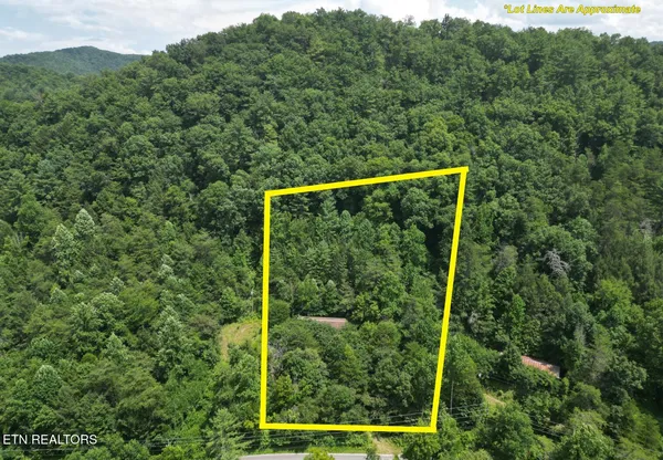 3576 Wilhite Road, Pigeon Forge, TN 37876