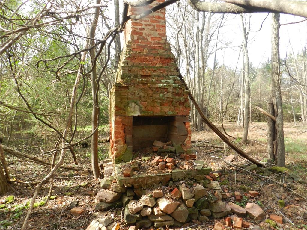 0 Venable Road Ararat, NC 27007 - Photo 1 of 25 Remnants of the homesite with 2 double fireplaces....