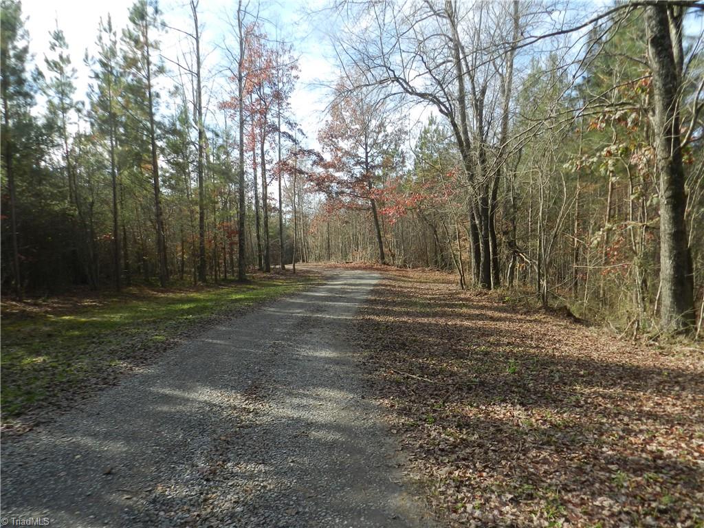 0 Venable Road Ararat, NC 27007 - Photo 11 of 25 Gallery Image 11