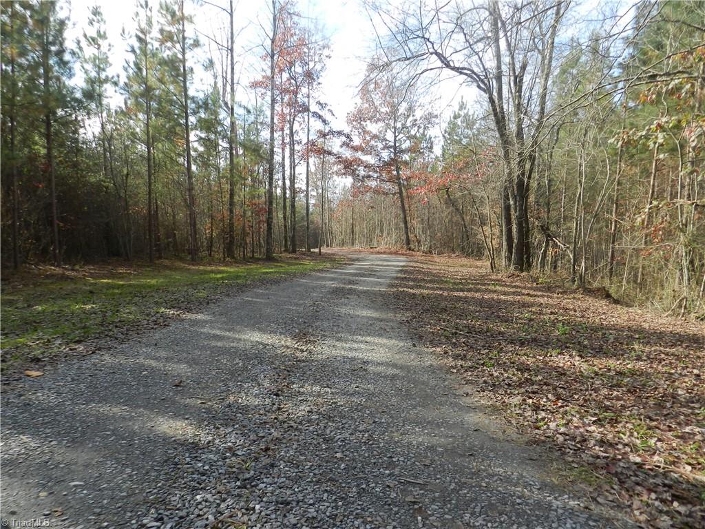 0 Venable Road Ararat, NC 27007 - Photo 12 of 25 Gallery Image 12