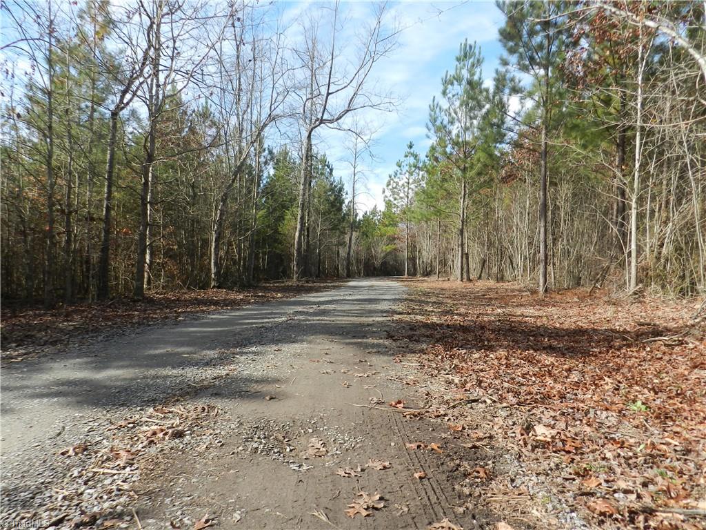 0 Venable Road Ararat, NC 27007 - Photo 13 of 25 Gallery Image 13