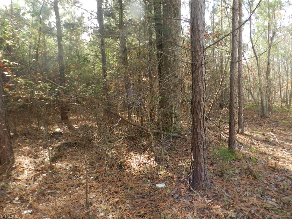 0 Venable Road Ararat, NC 27007 - Photo 15 of 25 Gallery Image 15