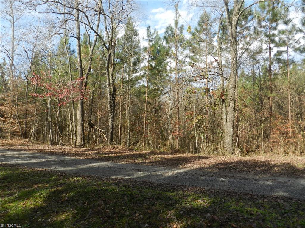0 Venable Road Ararat, NC 27007 - Photo 16 of 25 Gallery Image 16