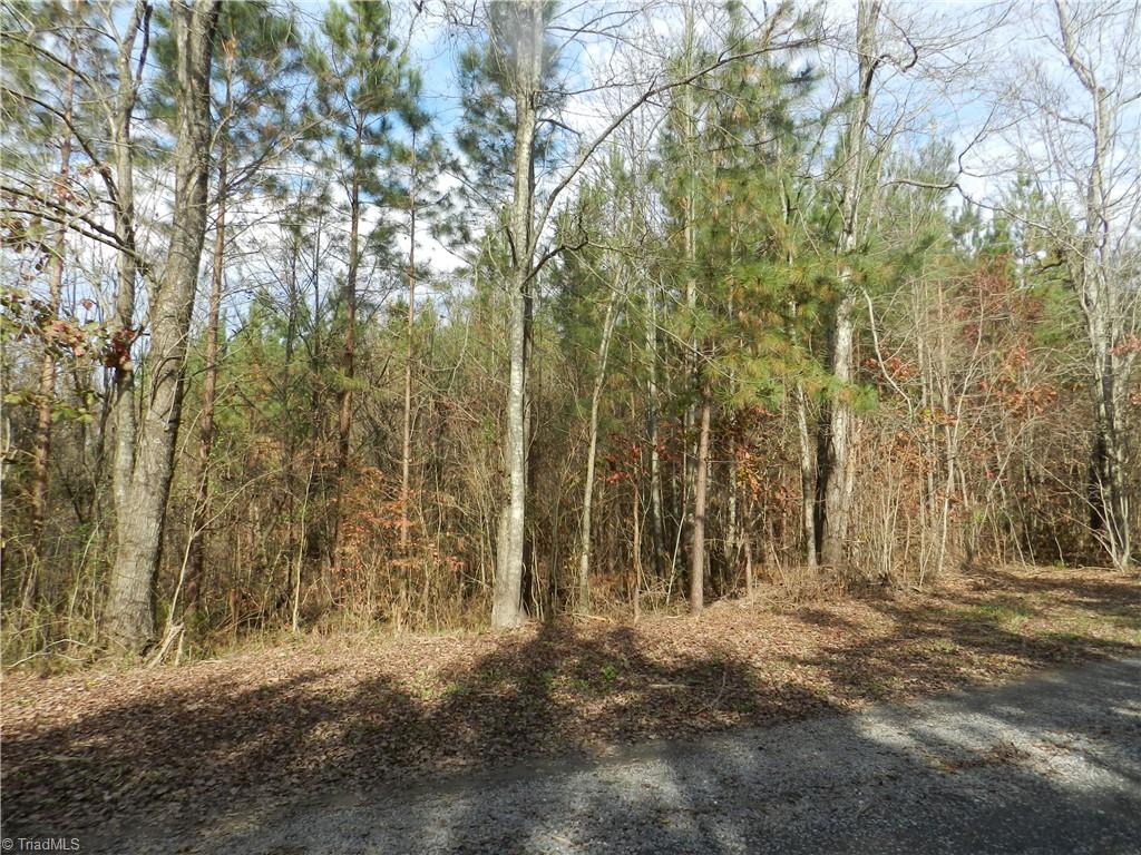 0 Venable Road Ararat, NC 27007 - Photo 17 of 25 Gallery Image 17