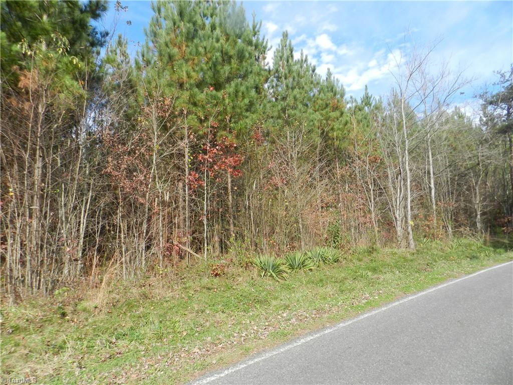 0 Venable Road Ararat, NC 27007 - Photo 18 of 25 Gallery Image 18