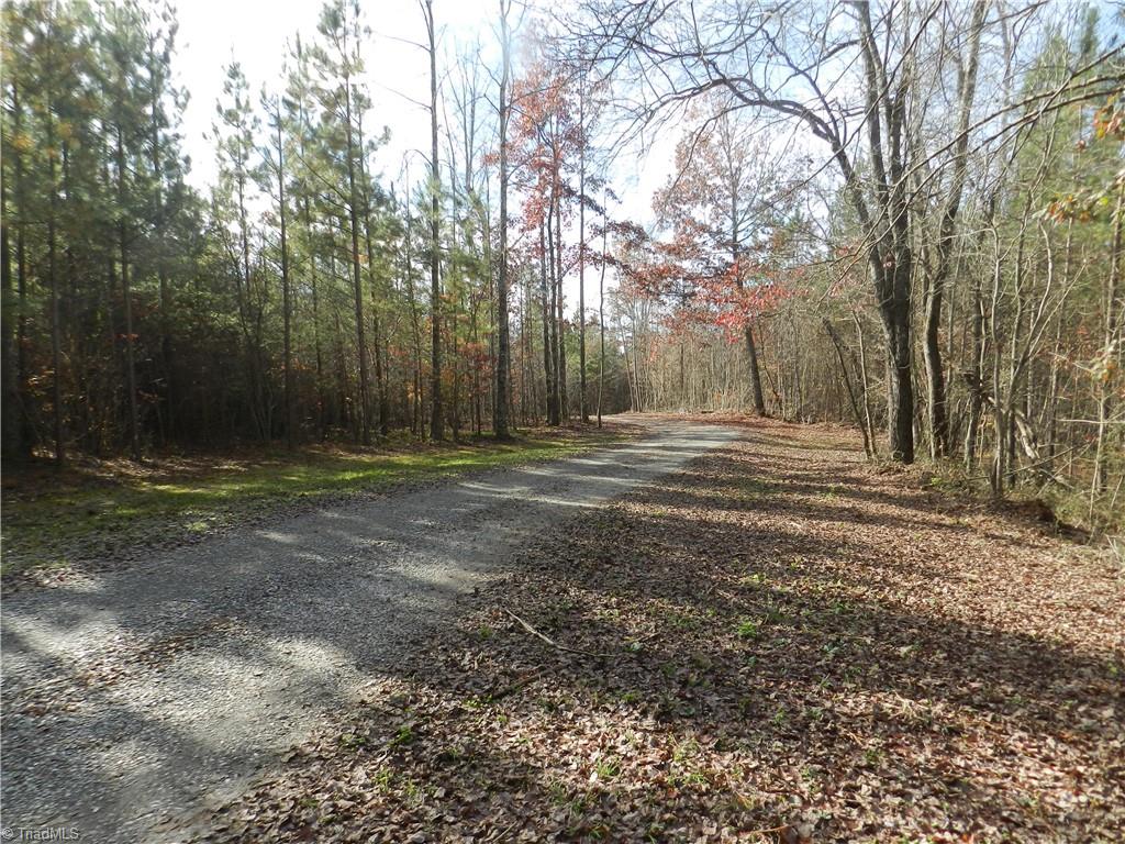 0 Venable Road Ararat, NC 27007 - Photo 20 of 25 Gallery Image 20