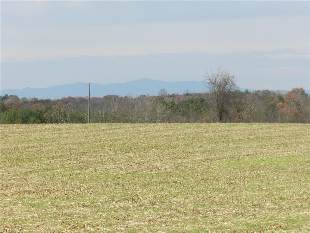 0 Venable Road Ararat, NC 27007 - Photo 5 of 25 This is a view behind the subject property showing the skyline, this picture is NOT of the actual property it just shows the elevation of the property being sold...When you drive to this property you notice you are up on a hill and just down the road you can also see Pilot Mountain...