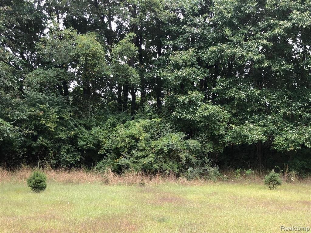 4570 Blood Road Metamora, MI 48455 - Photo 7 of 33 Gallery Image 7