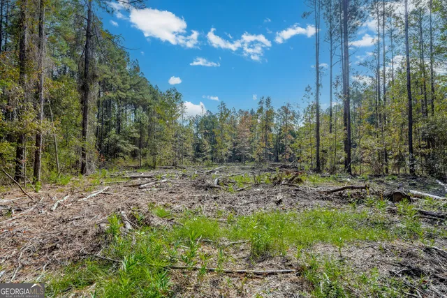 $69,900 | 58 Magnolia Plantation, White Oak, GA 31568