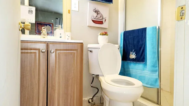 a bathroom with a toilet a sink and curtain