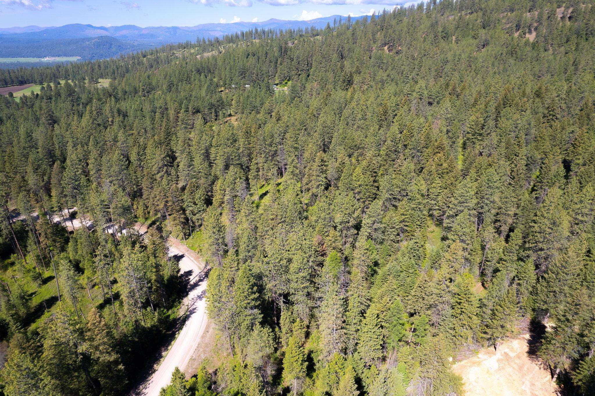 3436 West Jump Off Road Valley, WA 99181 - Photo 5 of 10