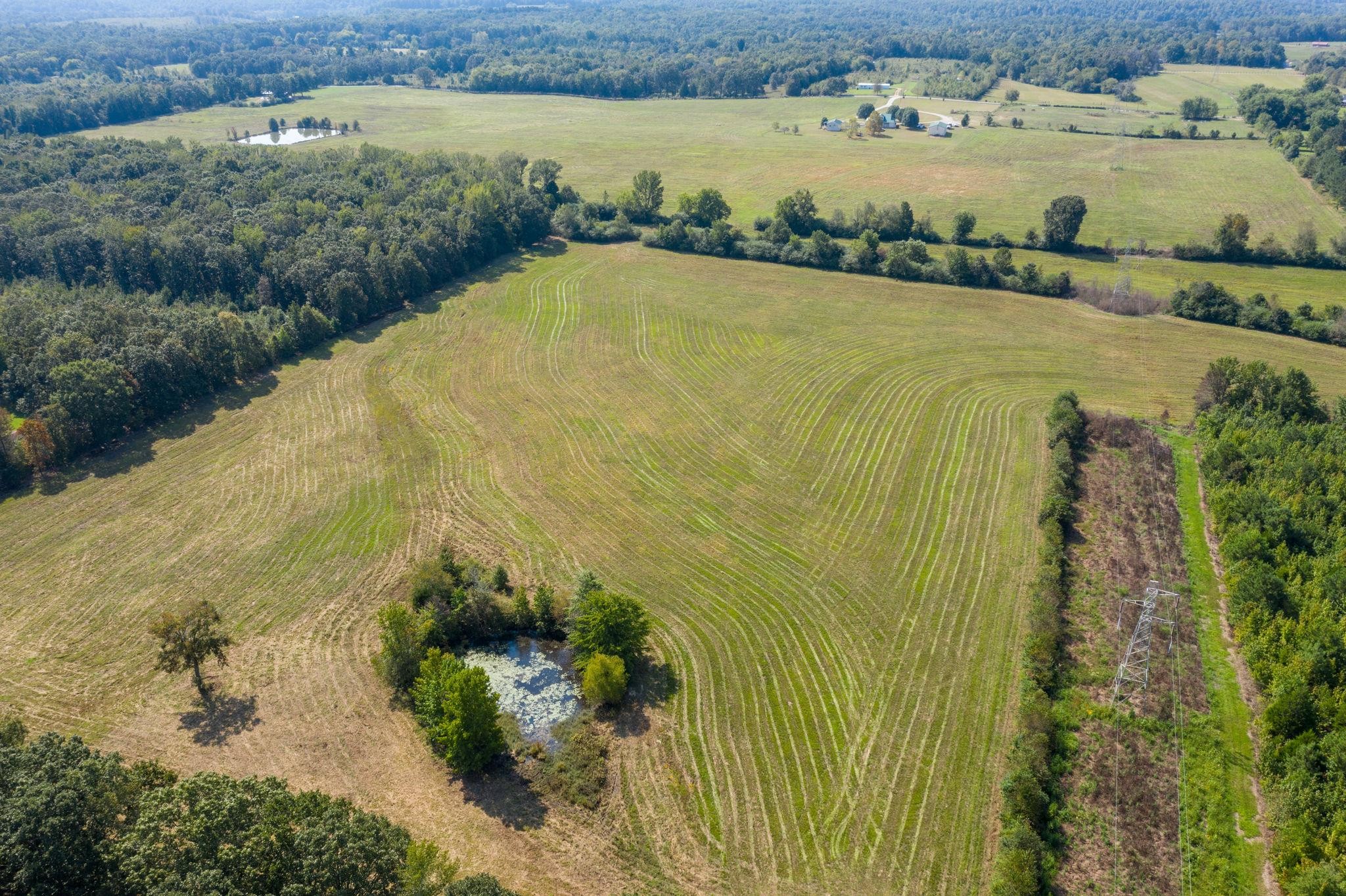 553 Swiss Colony Road Hohenwald, TN 38462 - Photo 1 of 13 Gallery Image 1