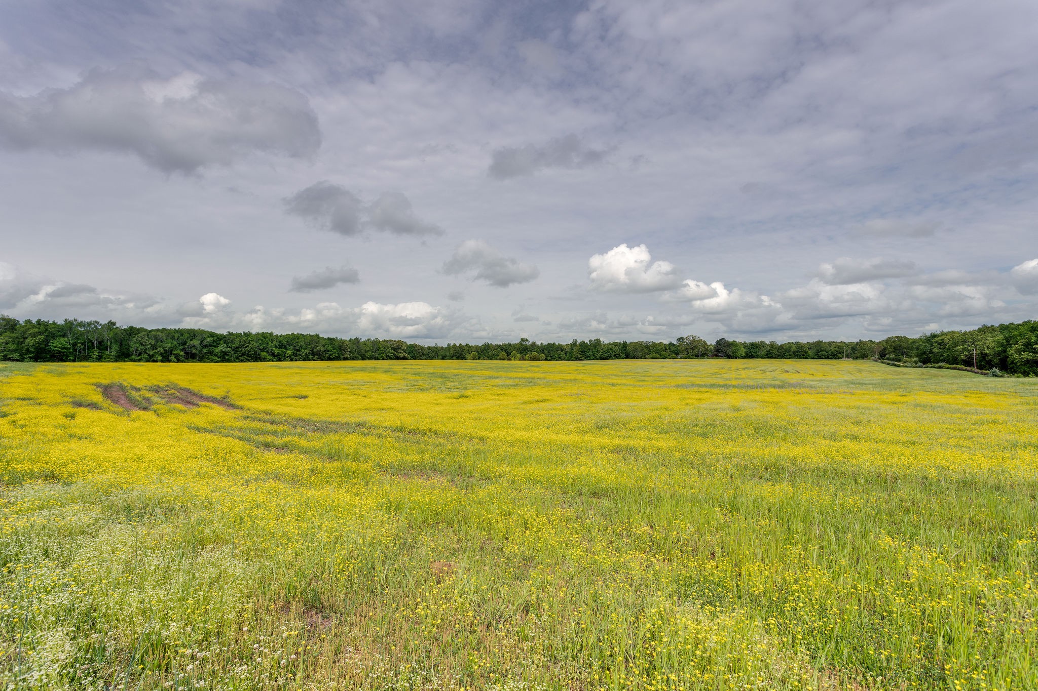 553 Swiss Colony Road Hohenwald, TN 38462 - Photo 13 of 13 Gallery Image 13