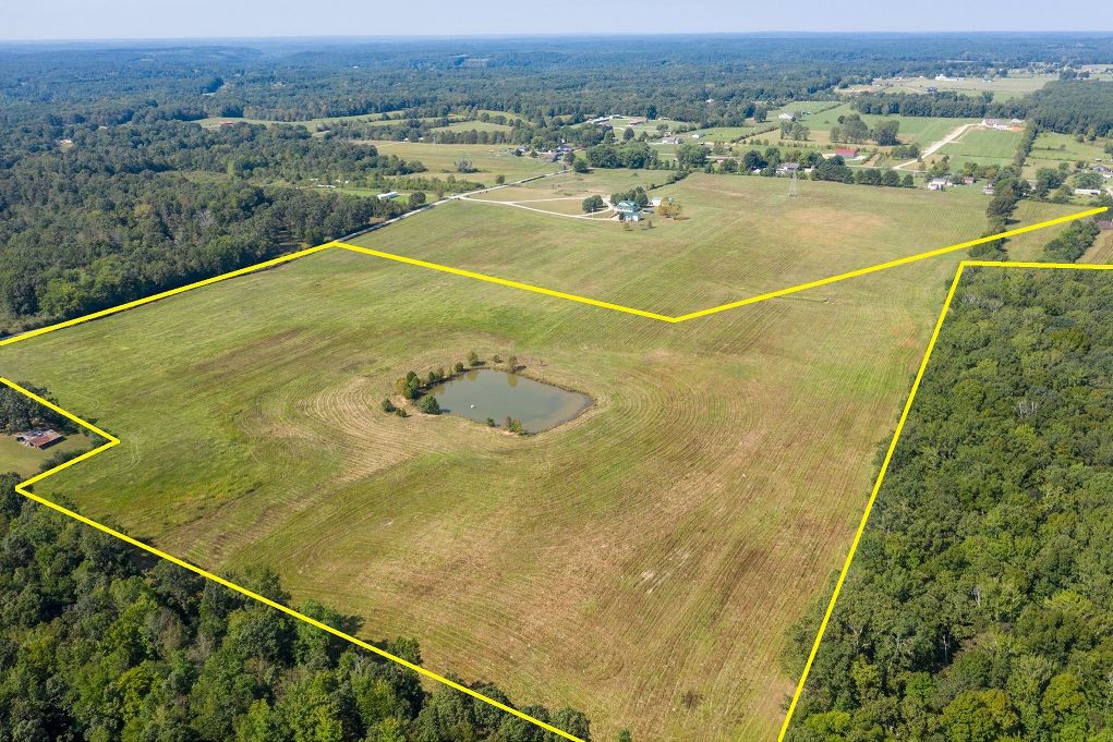 553 Swiss Colony Road Hohenwald, TN 38462 - Photo 4 of 13 Gallery Image 4