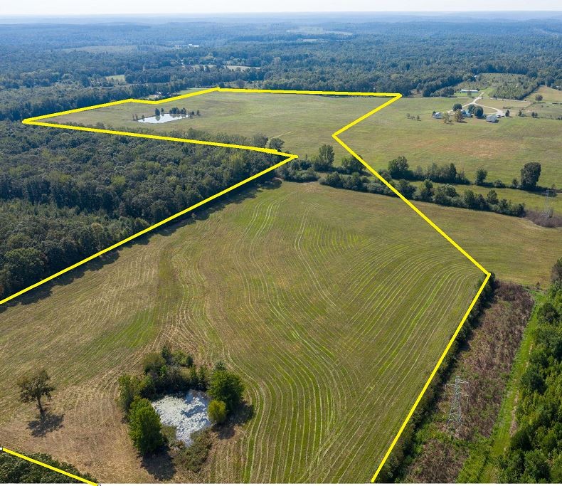 553 Swiss Colony Road Hohenwald, TN 38462 - Photo 5 of 13 Gallery Image 5