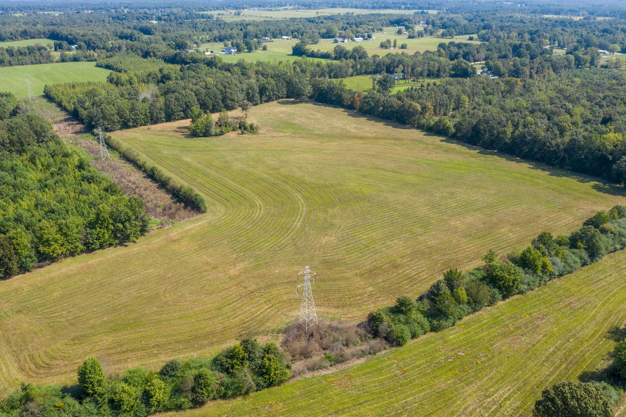 553 Swiss Colony Road Hohenwald, TN 38462 - Photo 6 of 13 Gallery Image 6