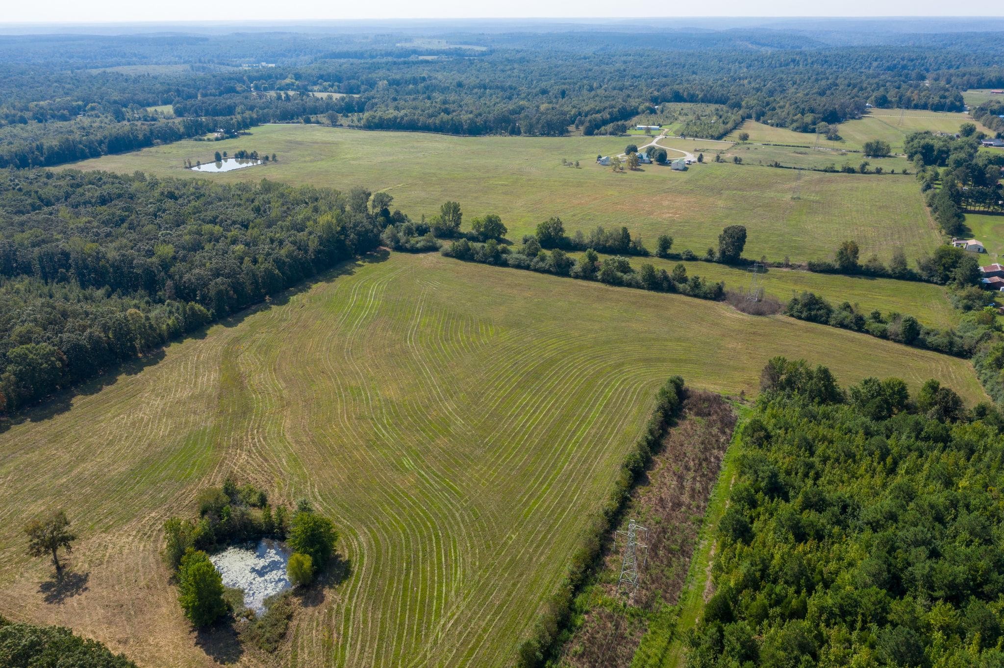 553 Swiss Colony Road Hohenwald, TN 38462 - Photo 7 of 13 Gallery Image 7