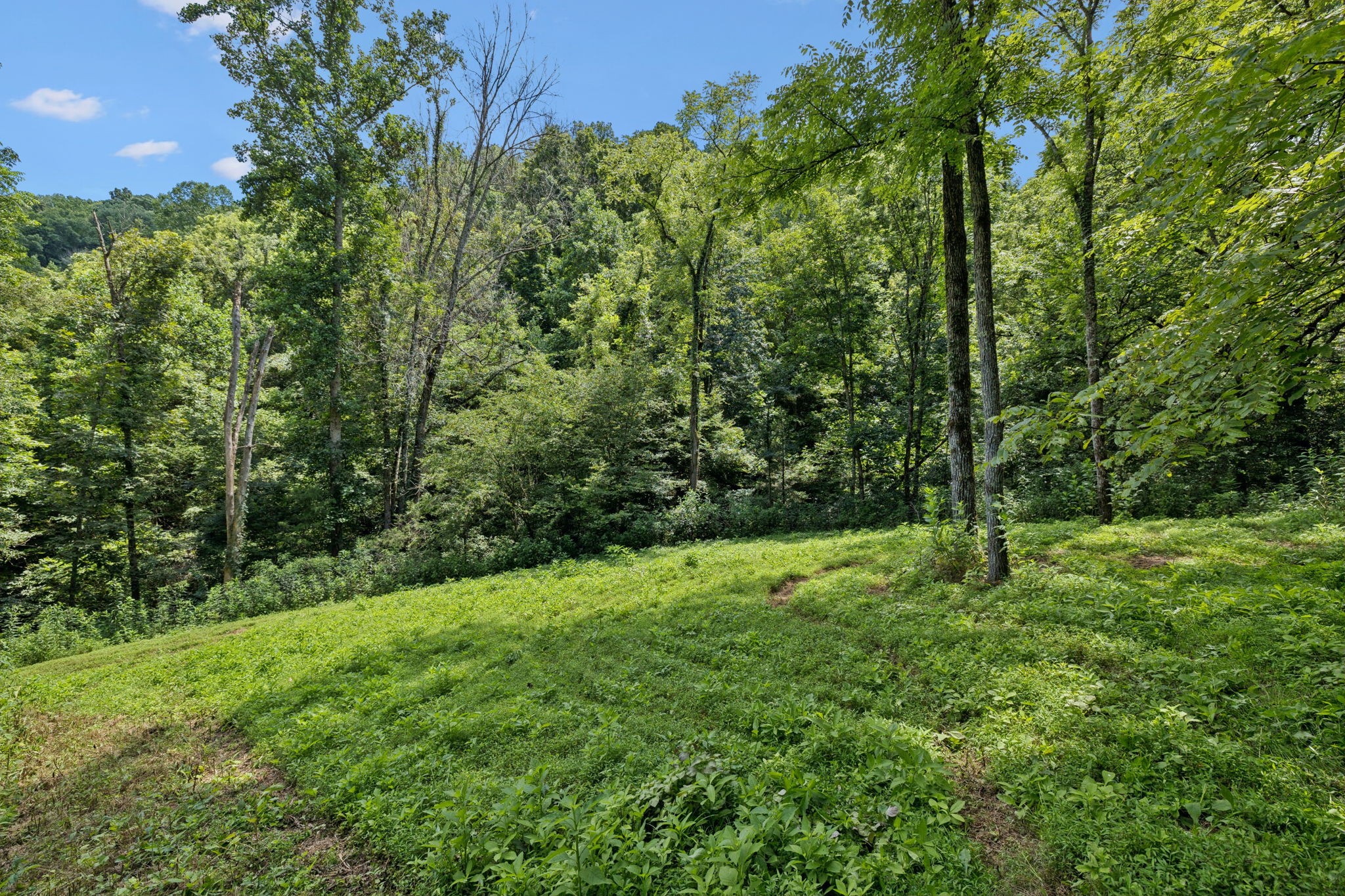 2864 Sycamore Valley Road Pleasant Shade, TN 37145 - Photo 12 of 46