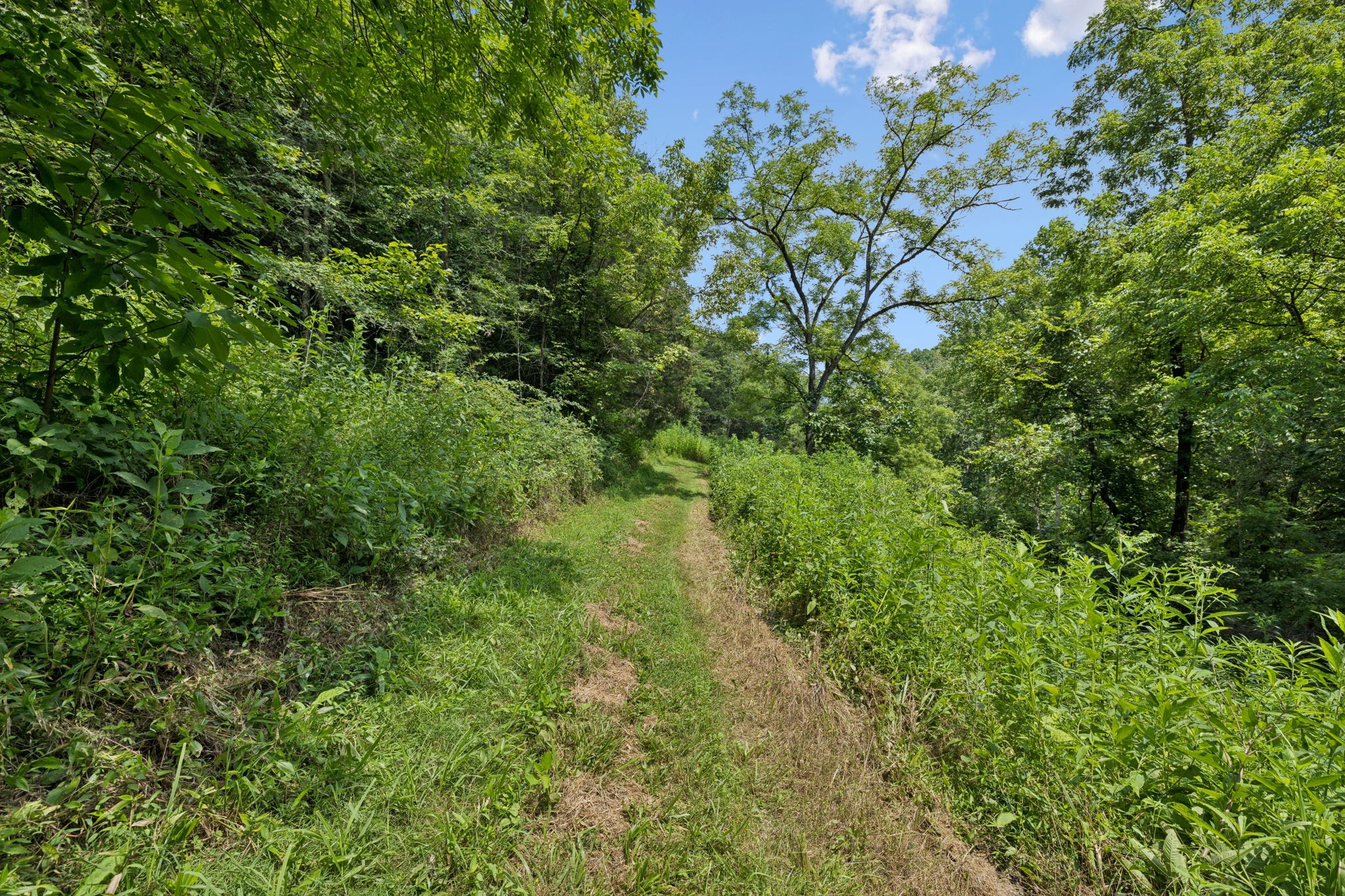 2864 Sycamore Valley Road Pleasant Shade, TN 37145 - Photo 13 of 46