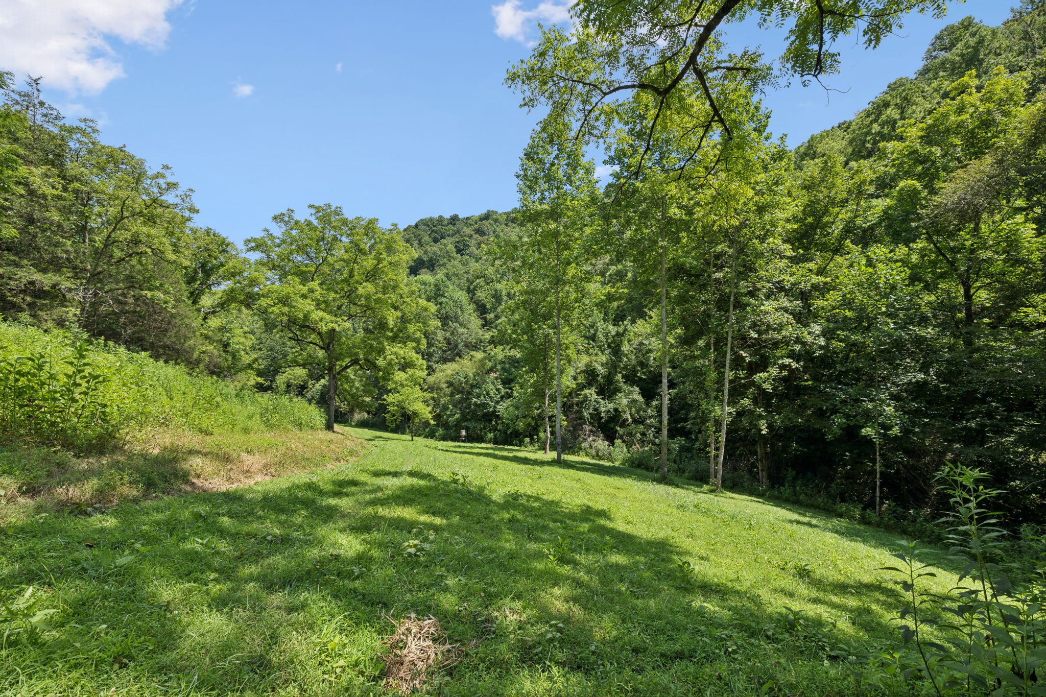 2864 Sycamore Valley Road Pleasant Shade, TN 37145 - Photo 15 of 46