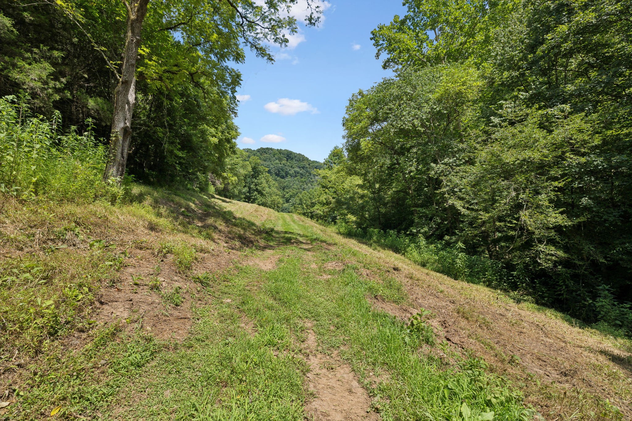 2864 Sycamore Valley Road Pleasant Shade, TN 37145 - Photo 17 of 46