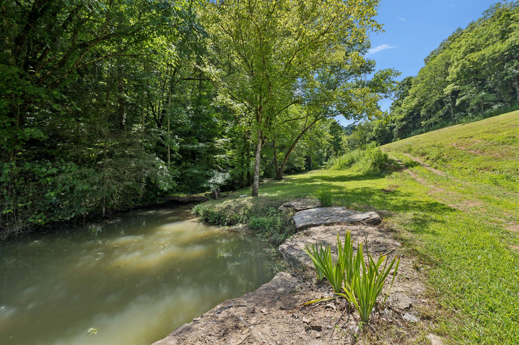 2864 Sycamore Valley Road Pleasant Shade, TN 37145 - Photo 21 of 46
