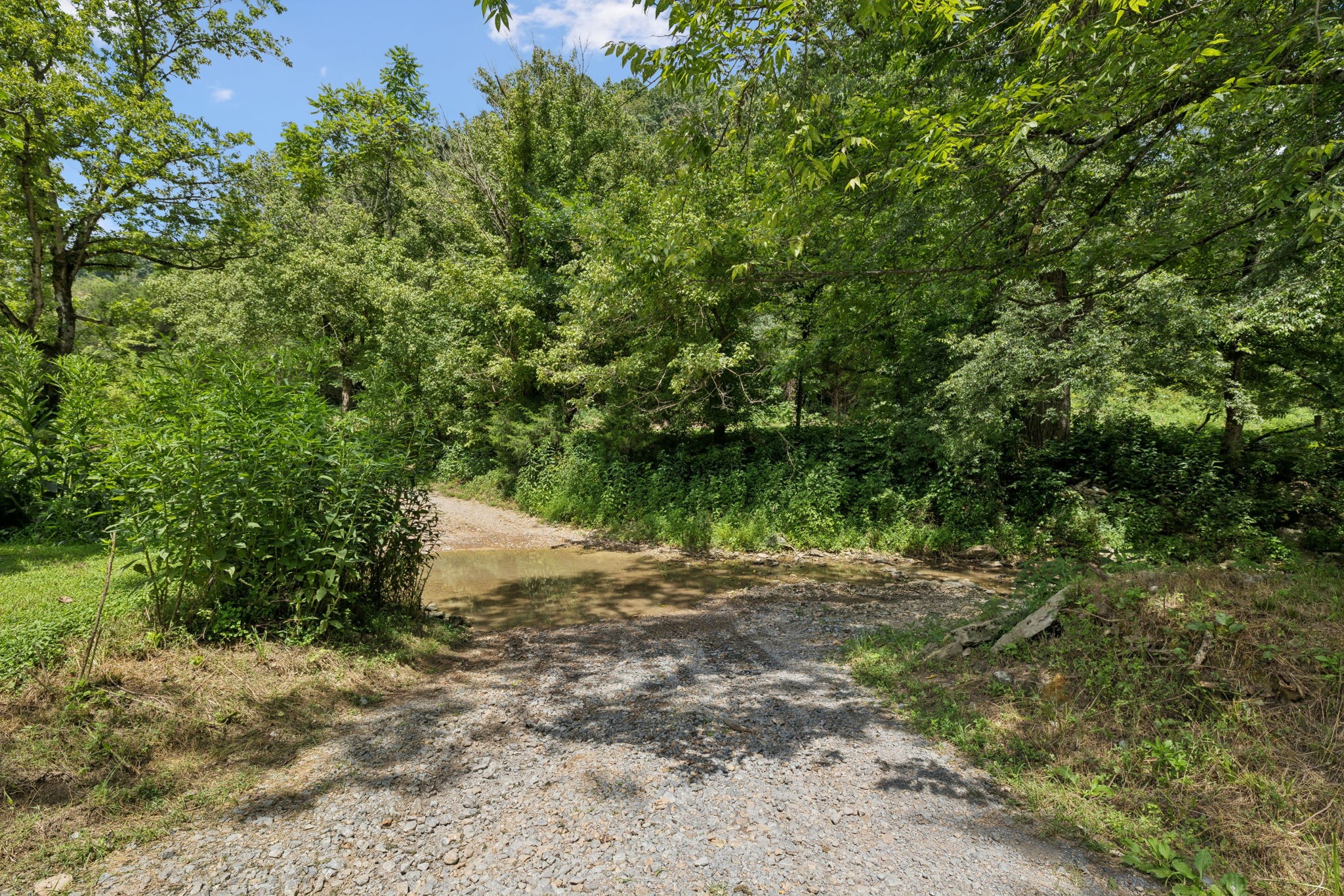2864 Sycamore Valley Road Pleasant Shade, TN 37145 - Photo 23 of 46