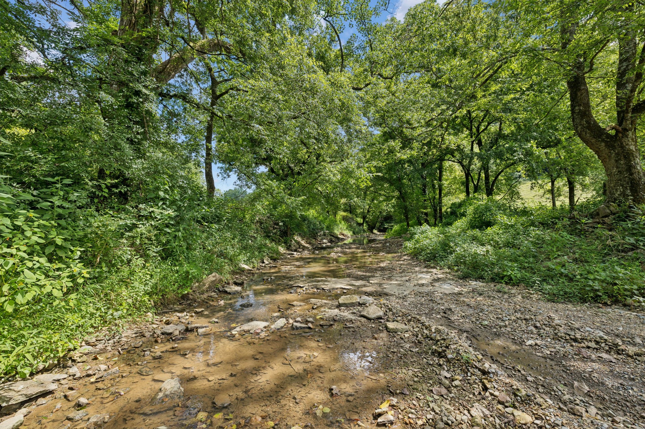 2864 Sycamore Valley Road Pleasant Shade, TN 37145 - Photo 24 of 46