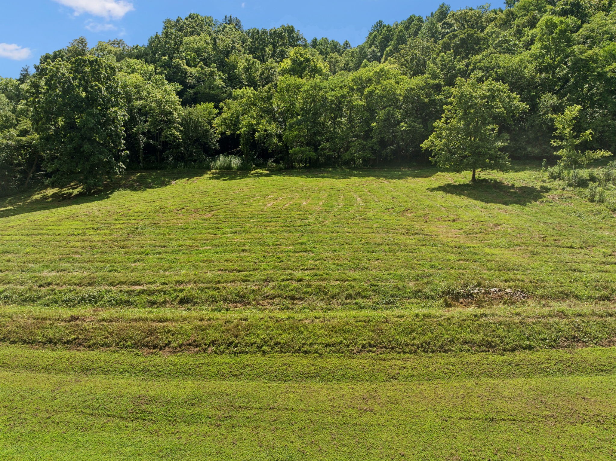 2864 Sycamore Valley Road Pleasant Shade, TN 37145 - Photo 4 of 46