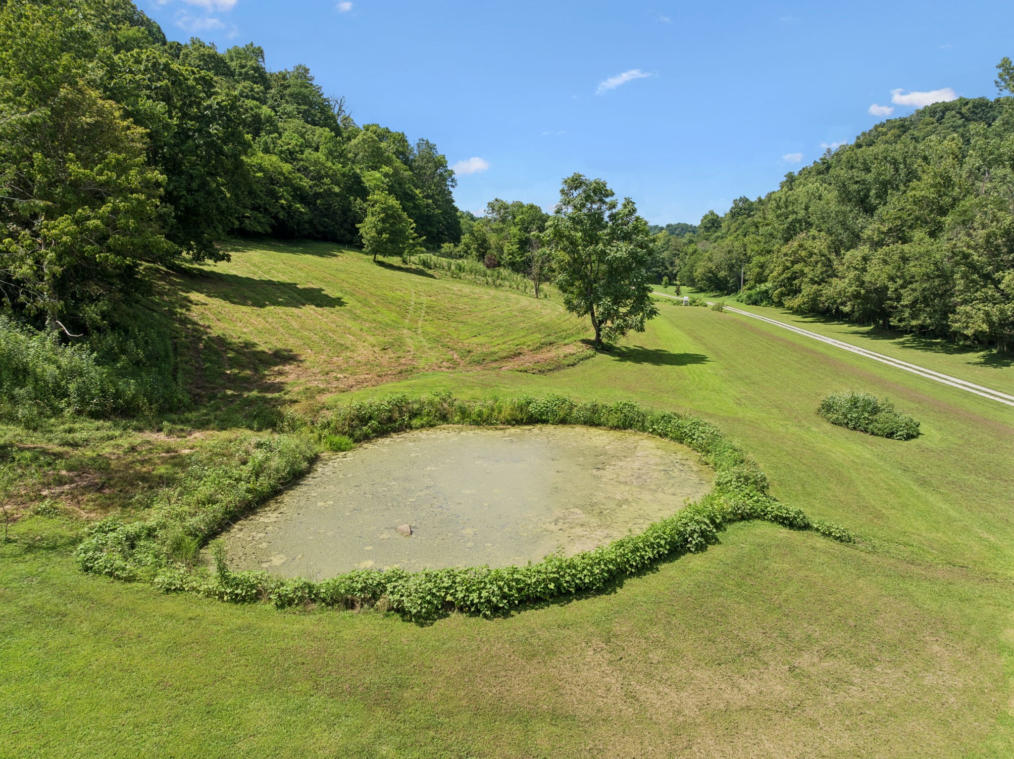 2864 Sycamore Valley Road Pleasant Shade, TN 37145 - Photo 7 of 46