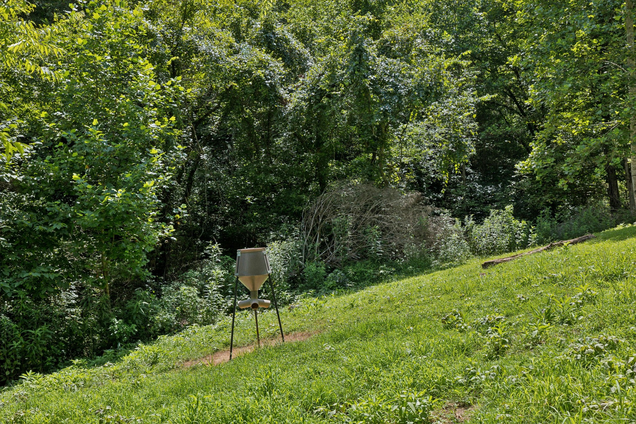 2864 Sycamore Valley Road Pleasant Shade, TN 37145 - Photo 10 of 46