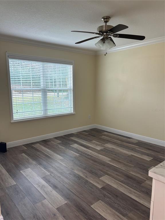 1159 MacFarlane Avenue Spring Hill, FL 34608 - Photo 8 of 61