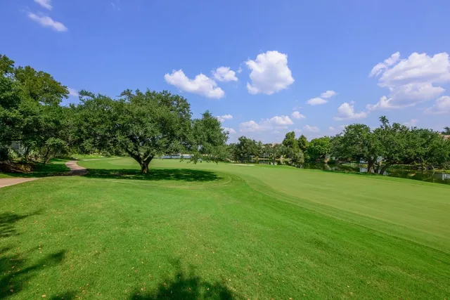 a view of a big yard with a large tree and a yard