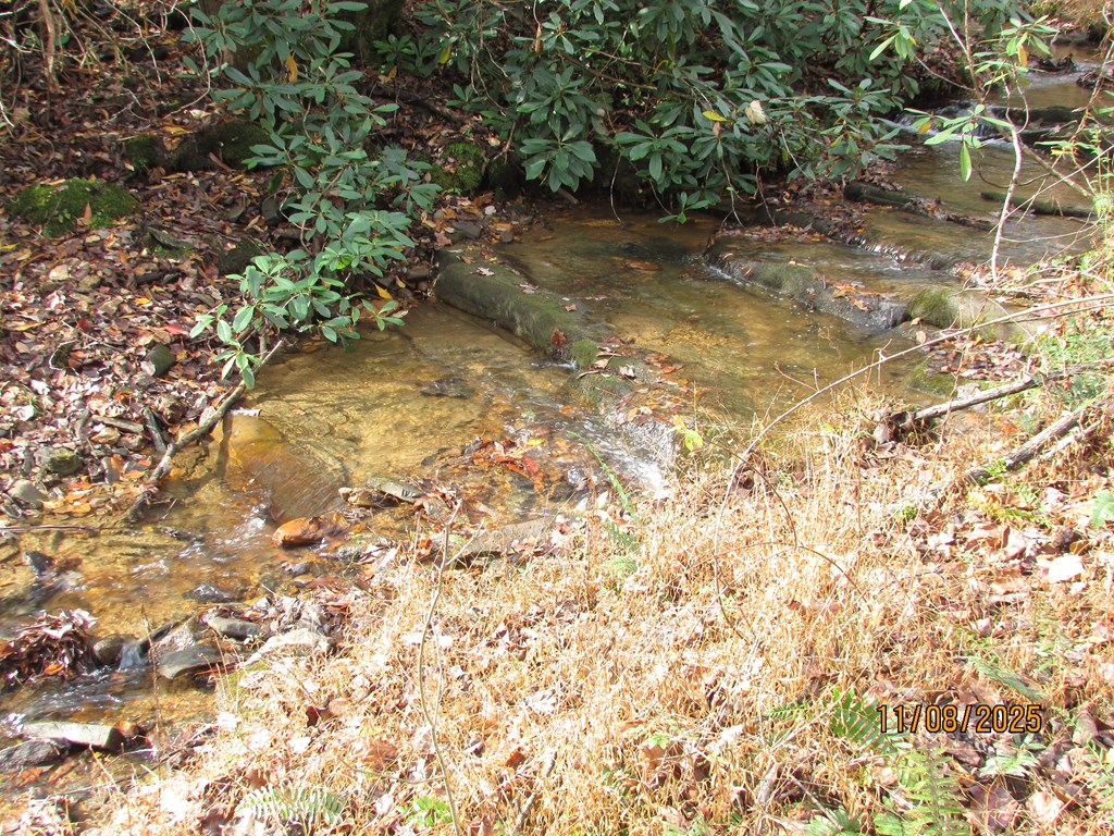 6 Wikle Road Hayesville, NC 28904 - Photo 17 of 19 Gallery Image 17