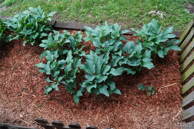 $249,900 | 31514 Old Highway 5, Lebanon, MO 65536