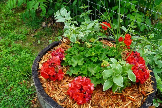 $249,900 | 31514 Old Highway 5, Lebanon, MO 65536